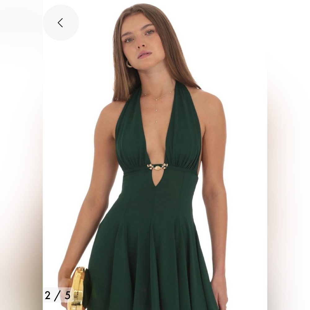 NWT Rose detail dress